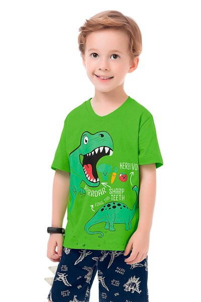 Camiseta em Meia Malha Infantil Menino Dinos Verde - Fakini